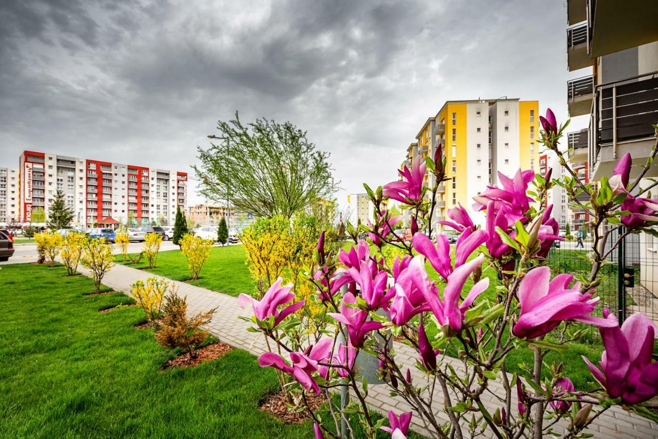 Belle View Apartment Брашов Екстер'єр фото